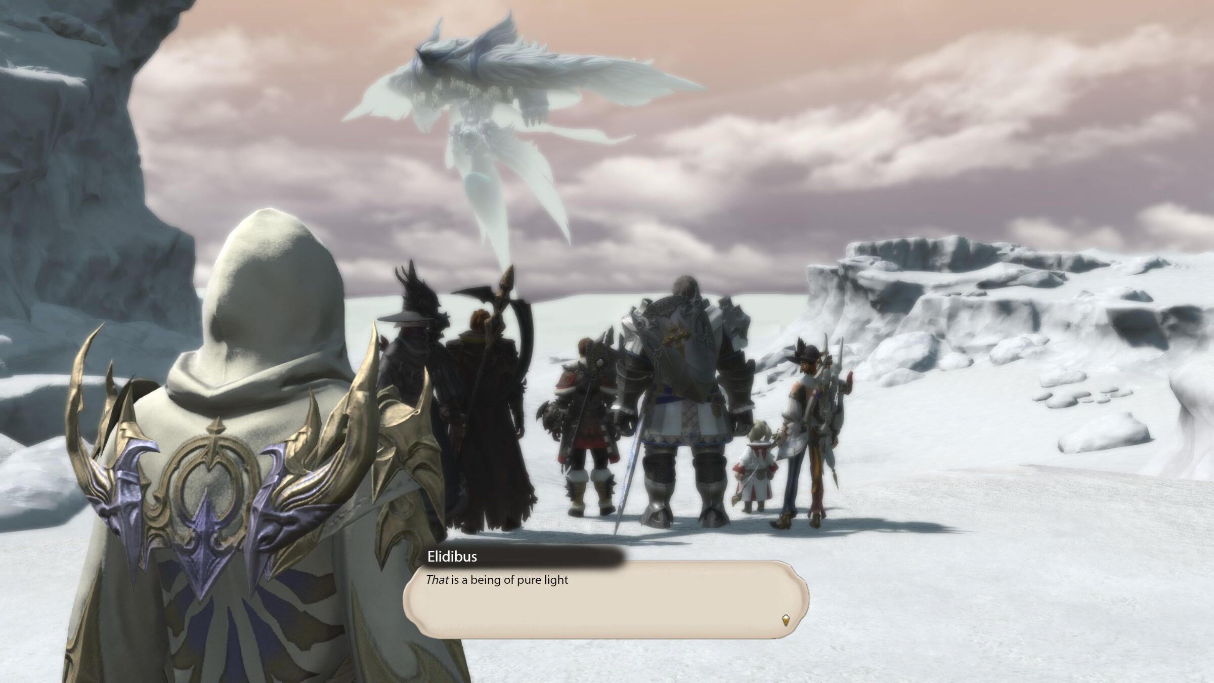 Elidibus stands behind the Warriors of Light, saying "That is a being of pure light"