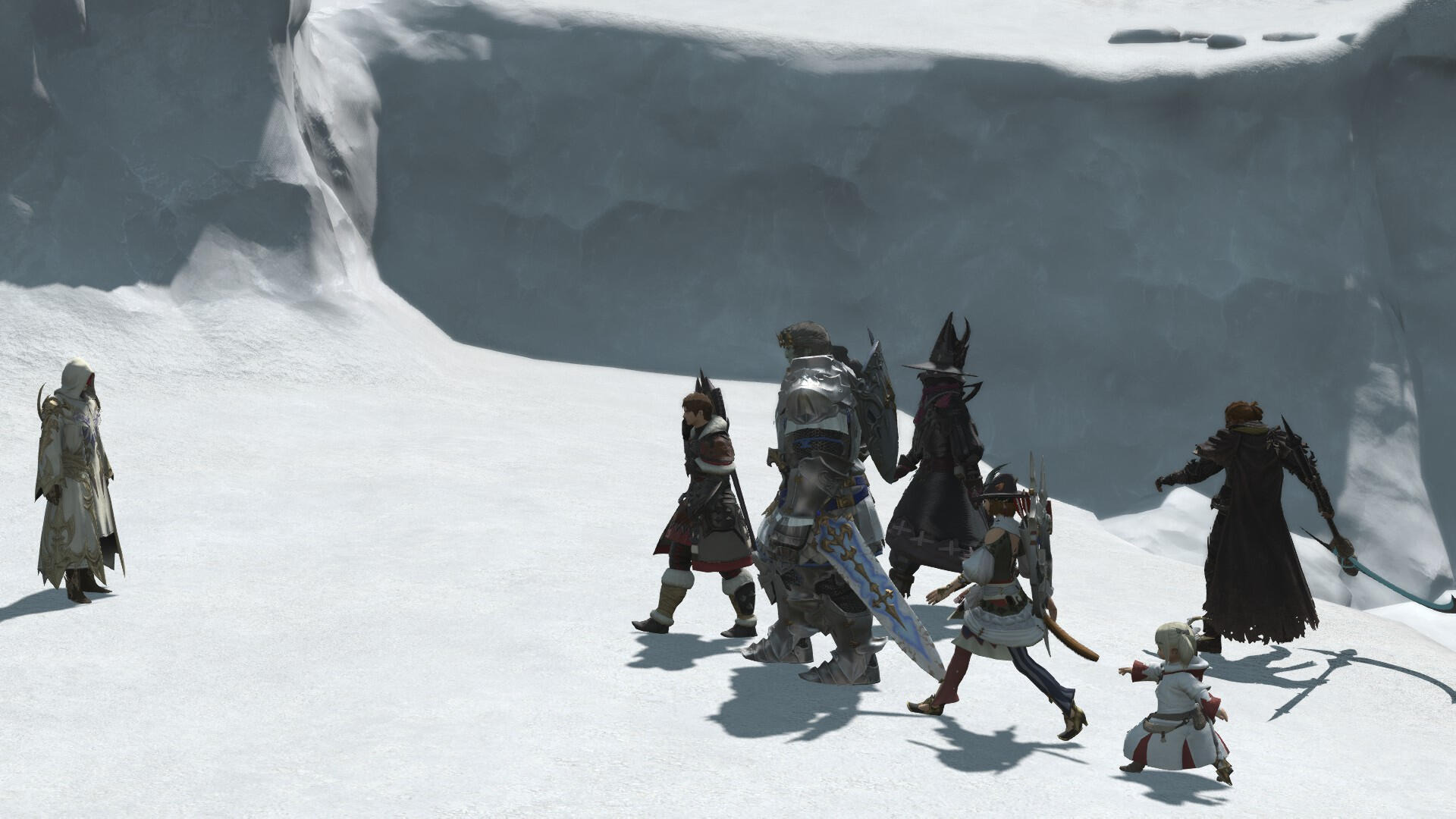 The Warriors of Light all walk toward Elidibus. Except Onyx.