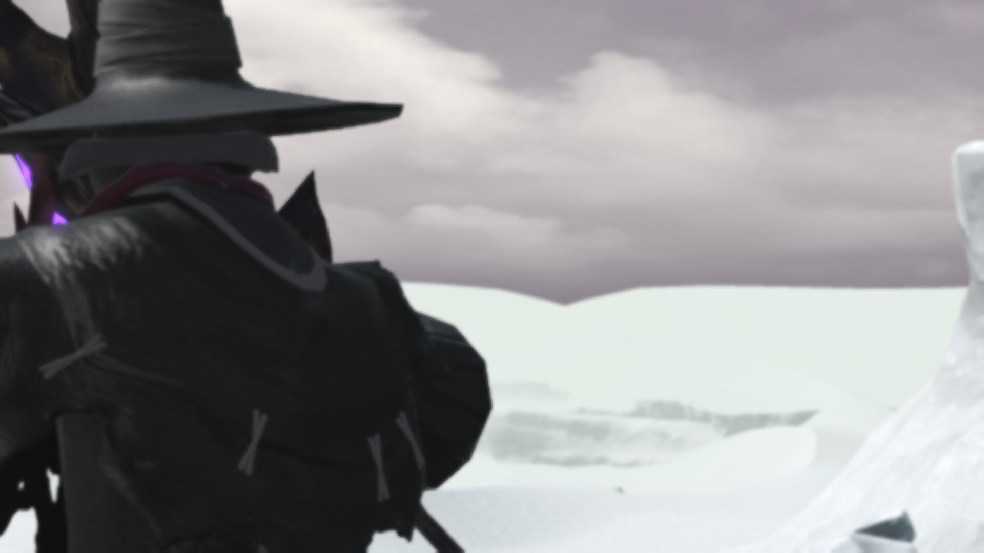 Nyelbert looks out over the empty. The rift has closed.